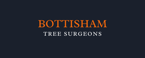 Bottisham Tree Surgeons